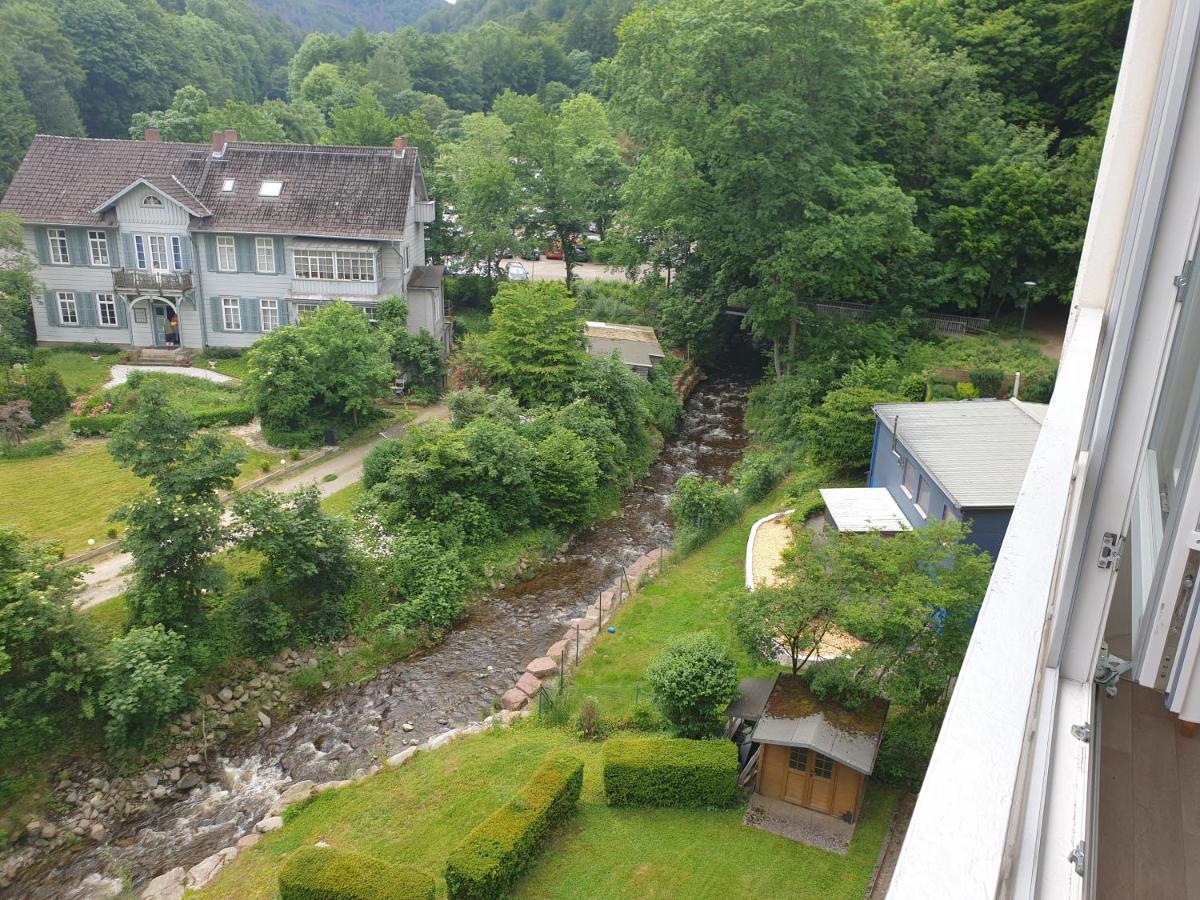 Apartz - Bad Harzburg - Apartment Mit Sauna In Idealer Lage Mit Bergblick Exterior foto